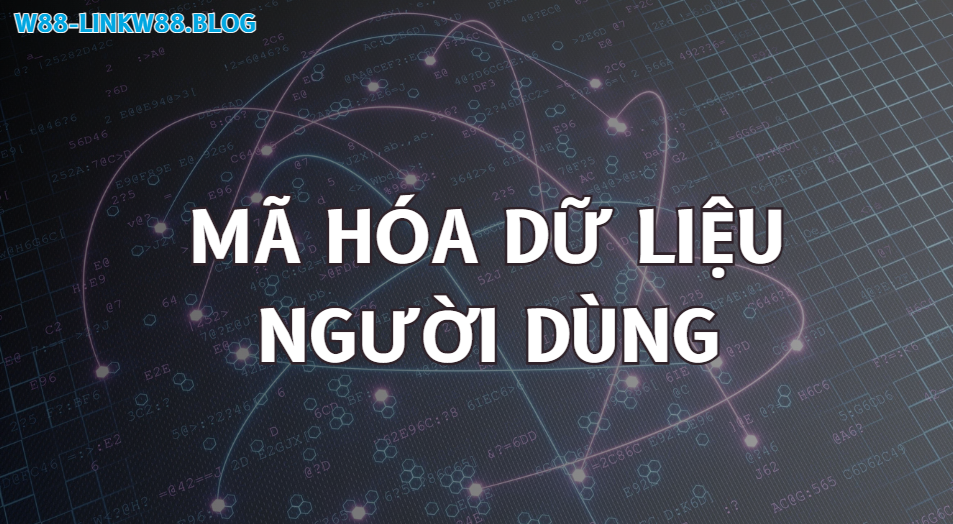 Mã hóa dữ liệu trong quyền riêng tư w88